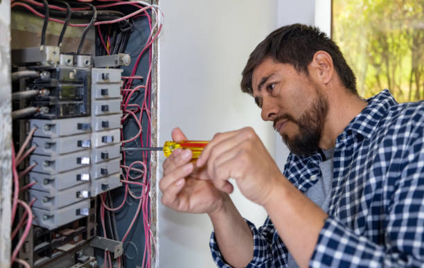 Best Electric Panel Repair  in Southwest Sandhill, TX